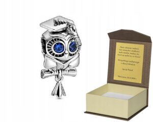 Charms srebro MĄDRA SOWA do bransolet Pandora C84