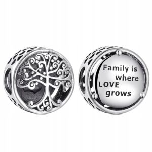 Zawieszka Charms Srebro FAMILY do bransolet C5